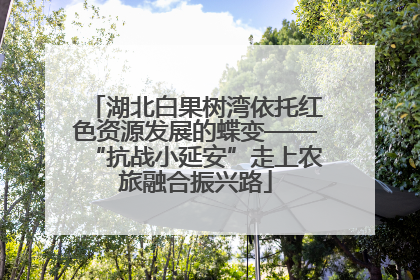 湖北白果树湾依托红色资源发展的蝶变——“抗战小延安”走上农旅融合振兴路